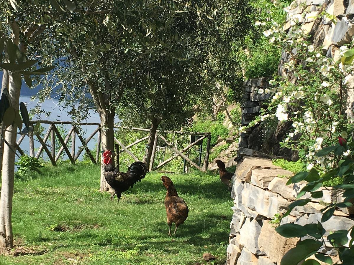 Castagna Holiday Home Nesso Luaran gambar